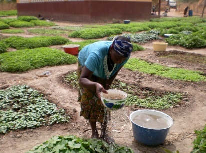Accés a l'aigua potable i empoderament de les dones a al regió  de Kandi (Benín- África susahariana)