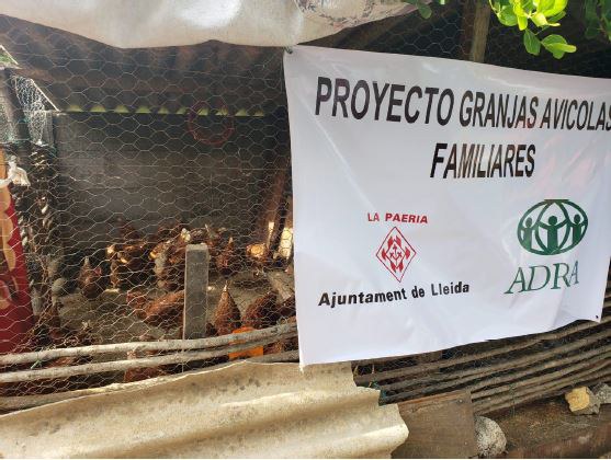 Granges avícoles familiars a Barra Salaga