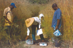 Millora de l’accés a l’aigua potable a 6 escoles rurals de la regió de Gowke (Zimbabwe)