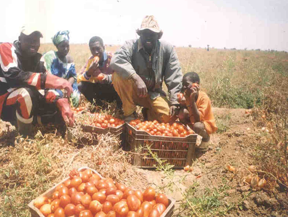Maaje-ndendi Segre-Senegal Fase IV