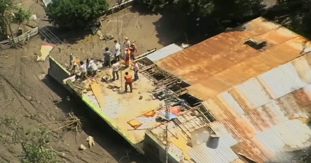 WhatsApp Image 2025-11-06 at 13.25.40 (1).jpeg