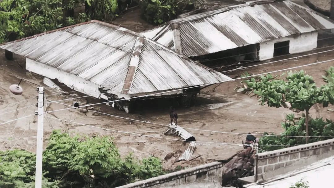 WhatsApp Image 2025-11-06 at 13.25.46 (1).jpeg