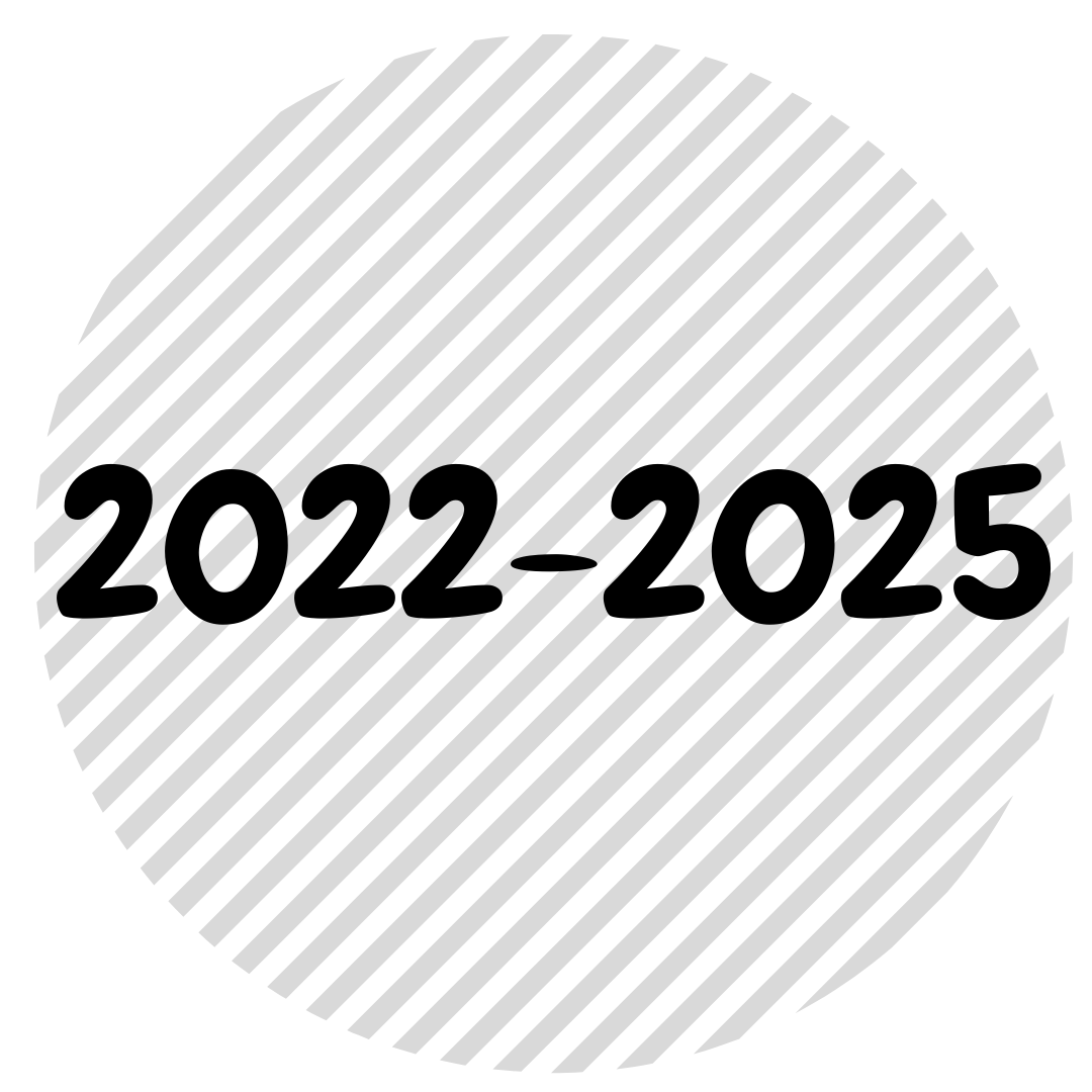 Pla director 2022 - 2025