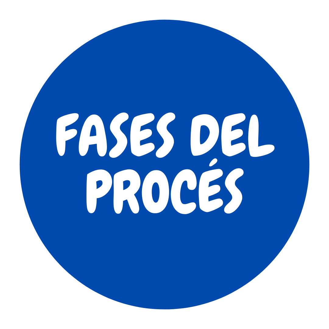 Fases del procés