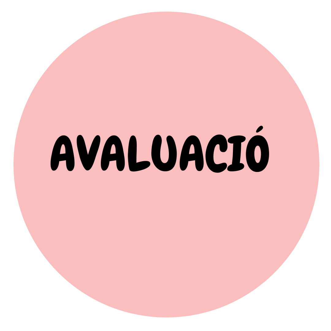 avaluació pla d'acció 2021