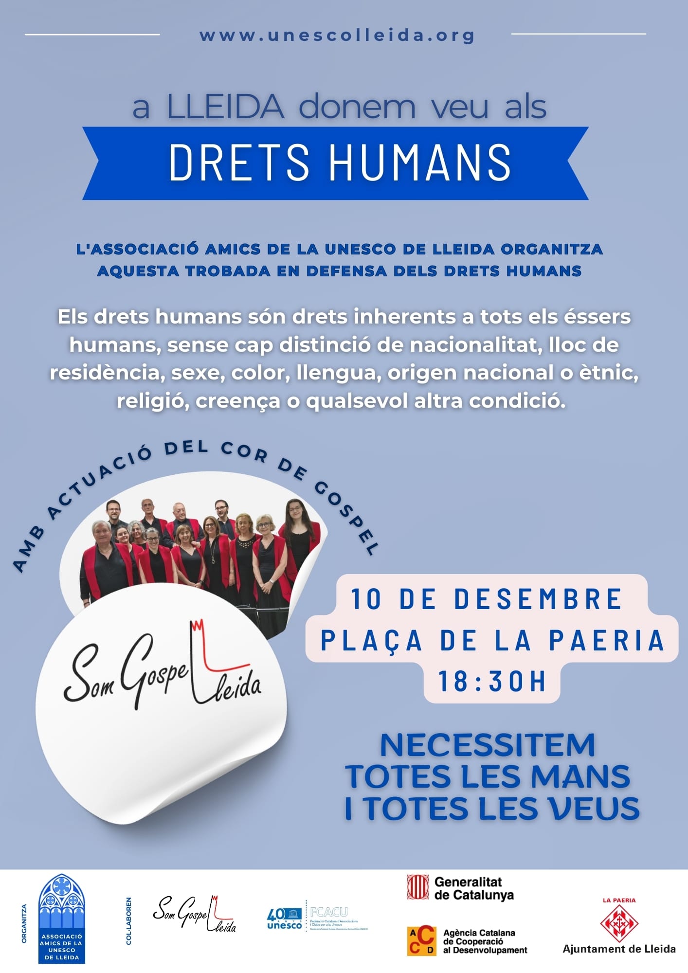 cartell DDHH 2025 (1).jfif