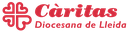 logo caritas.png