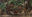 8. Salvatges.png